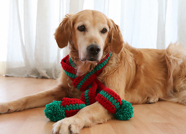 Dog Scarf