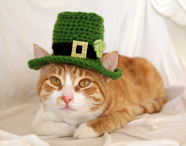 Leprechaun Hat for Cats