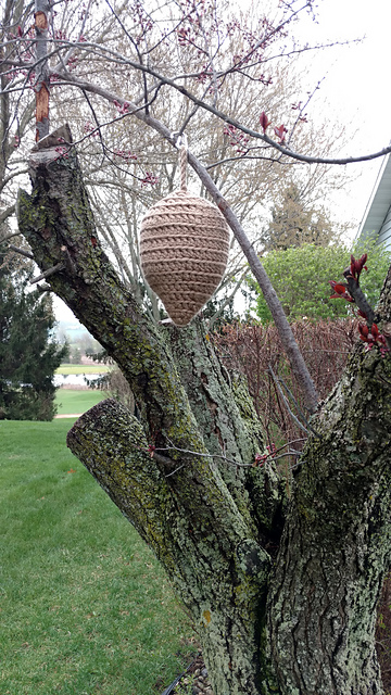 Wasp Bee Gone