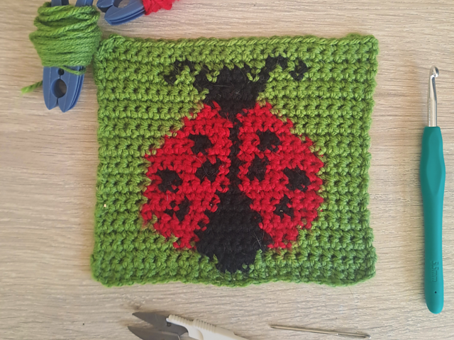 Ladybug Square