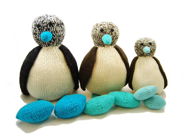 Bob the Blue-Footed Booby