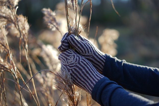 Cluaran Mittens