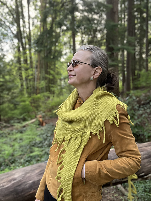 Fingers Shawl