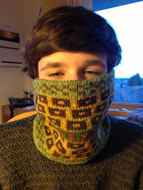 Reversible Ski Tube