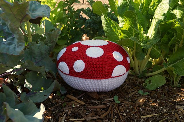 Mushroom Pillow