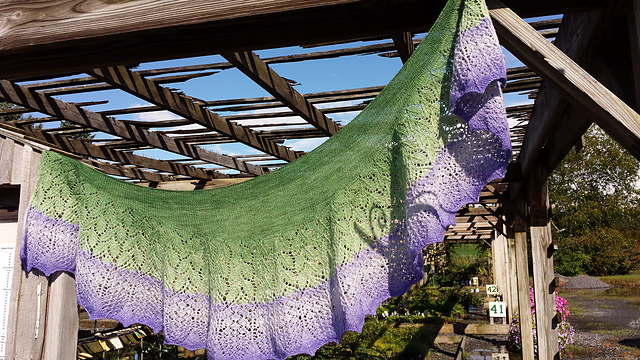 Wisteria Dream