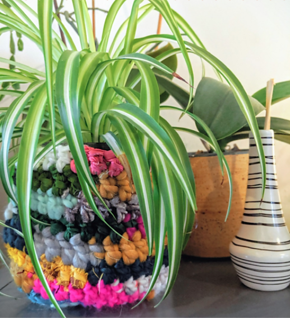 Eco Plant Pot