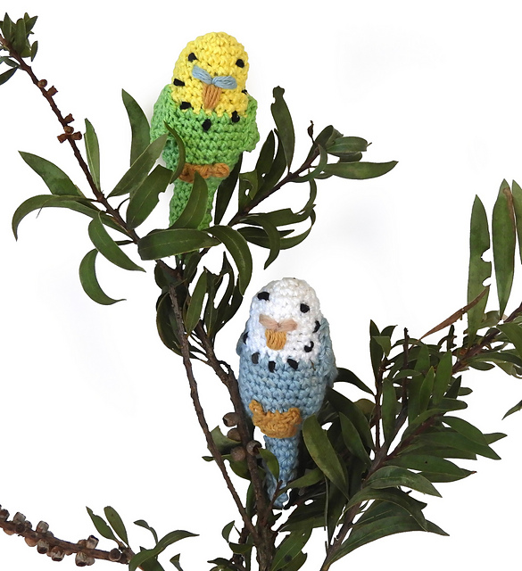 Betty Budgie