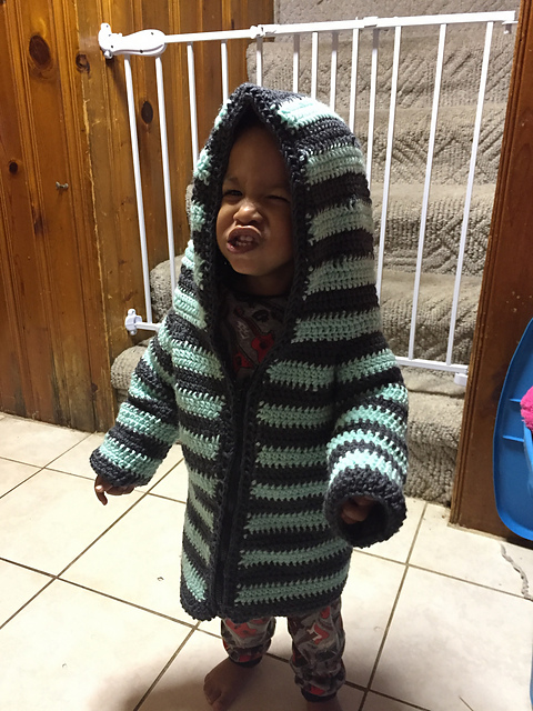 Toddler Hoodie