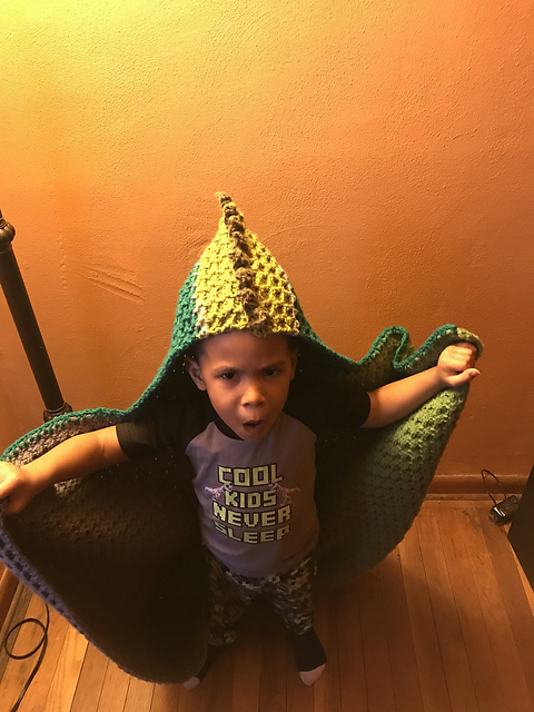 Dinosaur Blanket