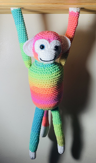 Rainbow Monkey