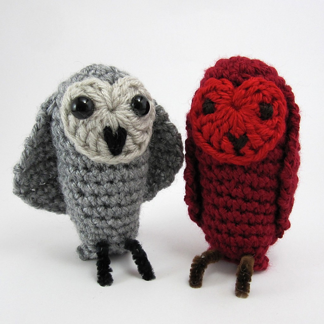 Barn Owl