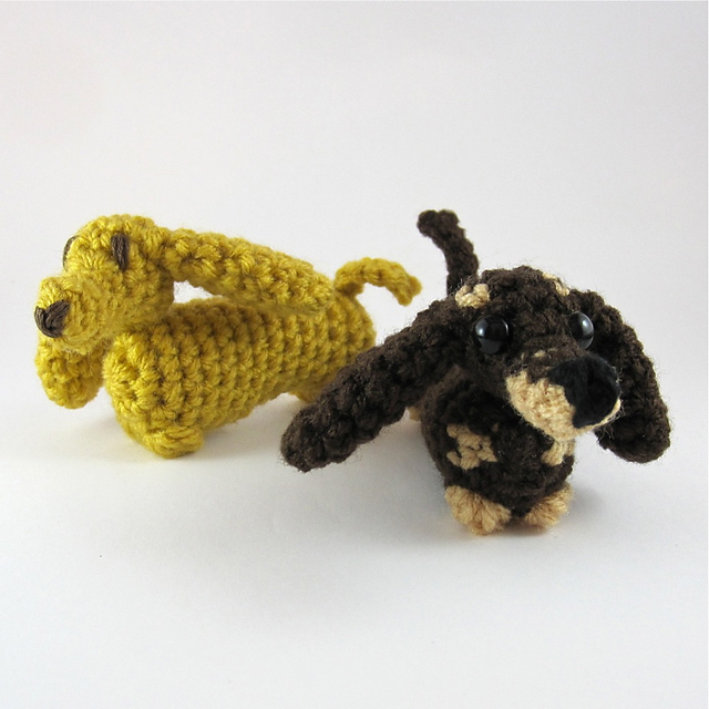 Dachshund