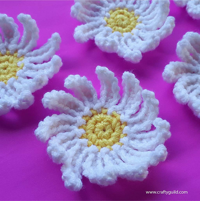 Daisy