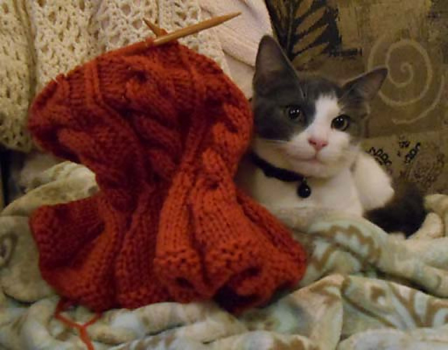 Sofia's Cabled Neckwarmer