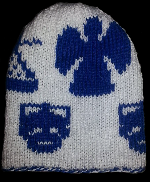 Doctor Who Inspired Hat