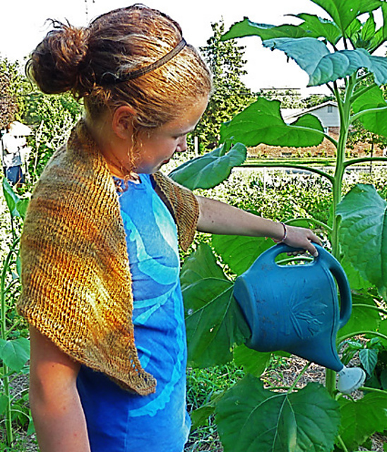 Slantwise shawl