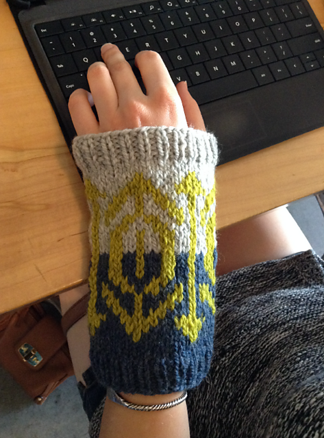 Sherman Ranch Arm Warmers