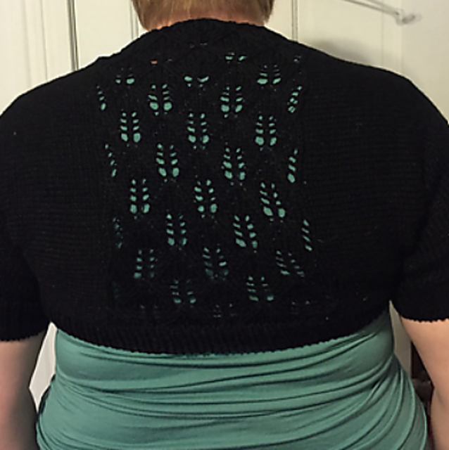 Slightly Embellished Shrug
