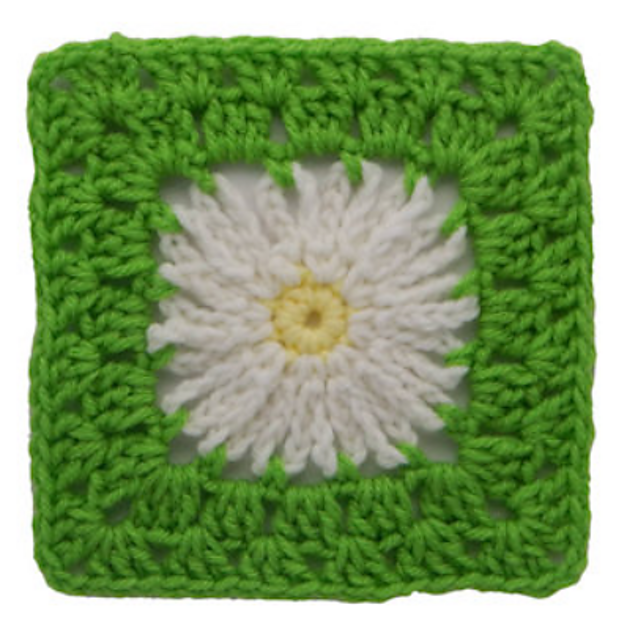 Daisy Square