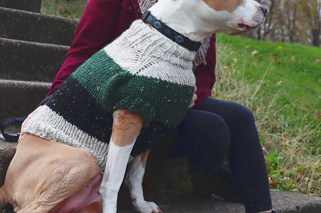 Laika Dog Sweater