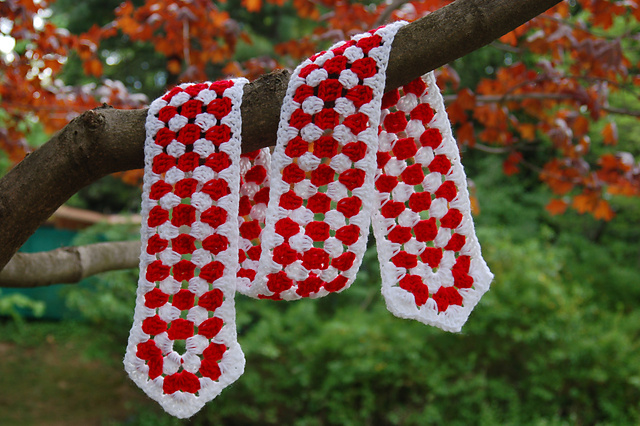 Special Olympics Granny Flair Scarf