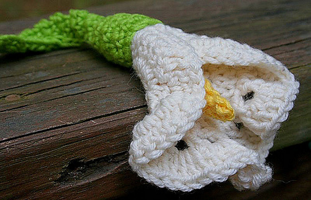 Calla Lily