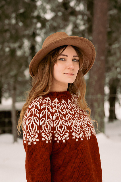 The Blue Bird Sweater