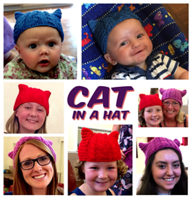 Cat in a Hat