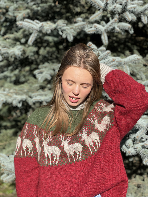 My dear deer Sweater