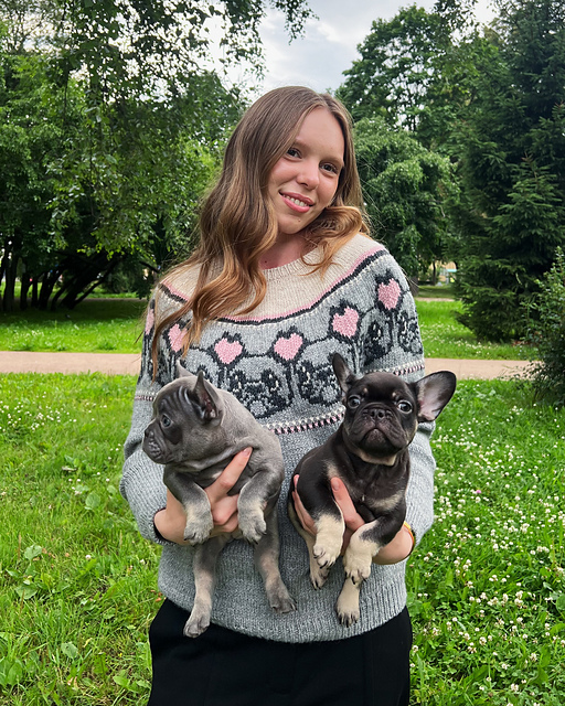 Funny French bulldog Sweater
