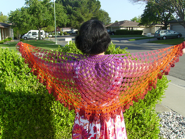 Calling All Girls Shawl