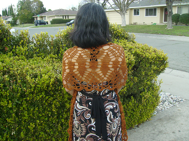 And It's Lace Shawl