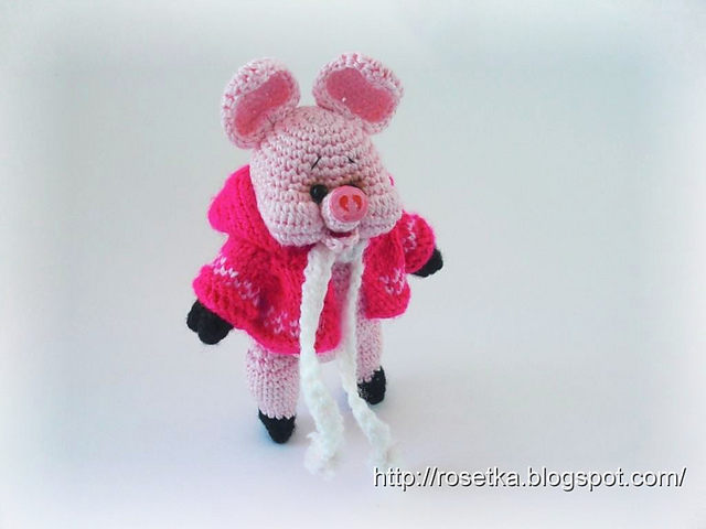 Pig in a jacket
