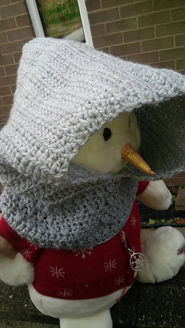 Hooded Assassins' Cowl