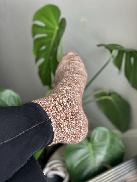 Study Socks
