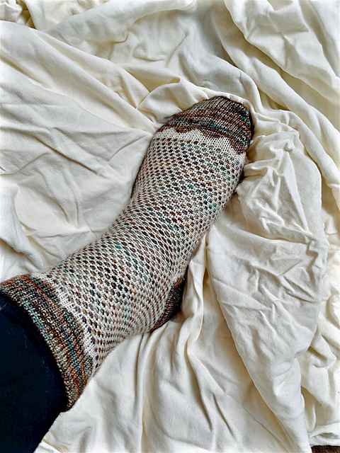 Scallop Cottage Sock