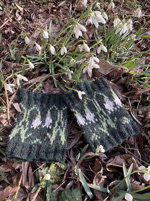 Spring