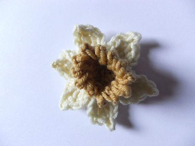 daffodil