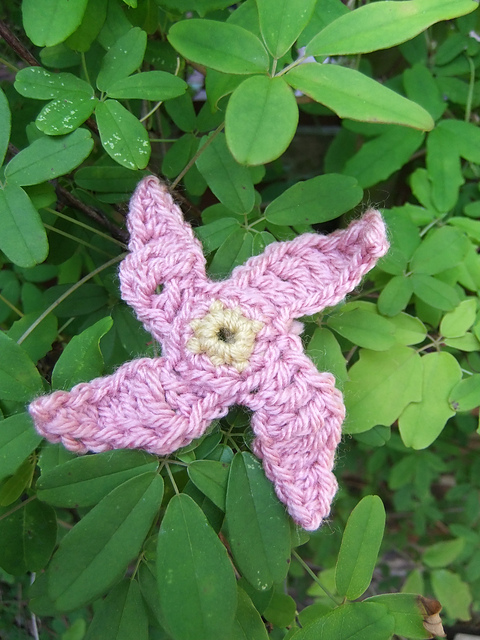 clematis…