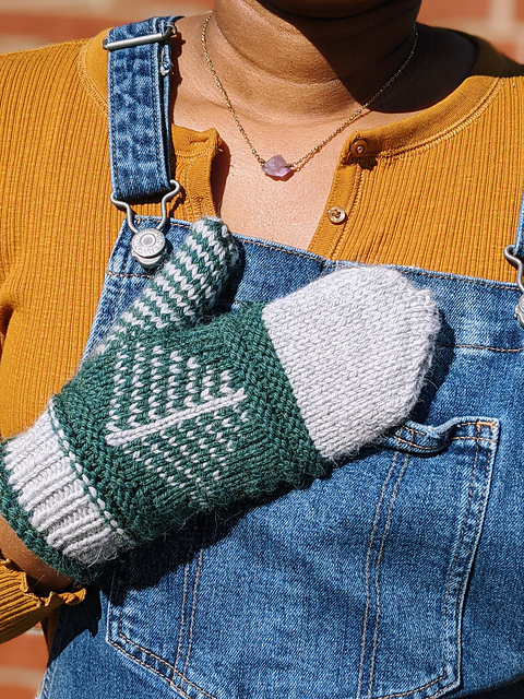 Heartland Marsh Mittens