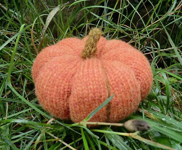 Little Knitted Pumpkins
