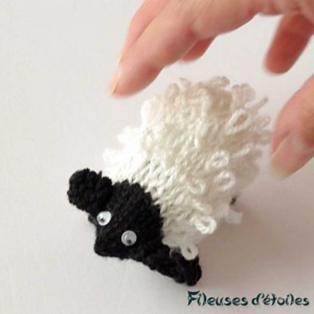 Andy le mouton 