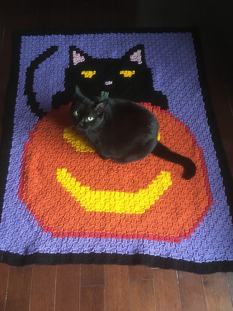 Black Cat Halloween Lapghan