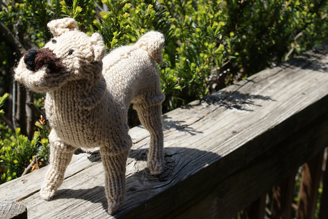 Shar Pei