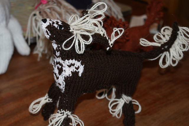 Chinese Crested Dog