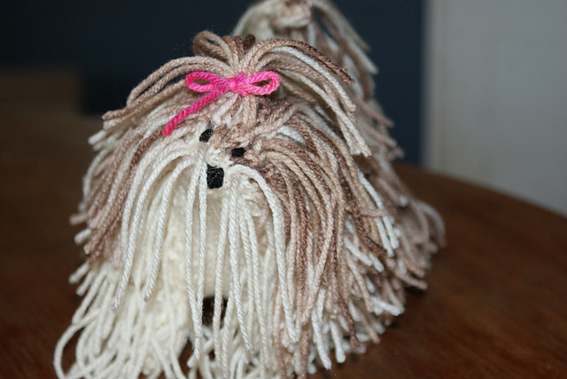 Shih Tzu