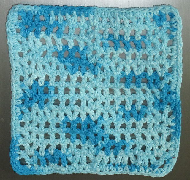 Wash & Wipe Dishcloth #13