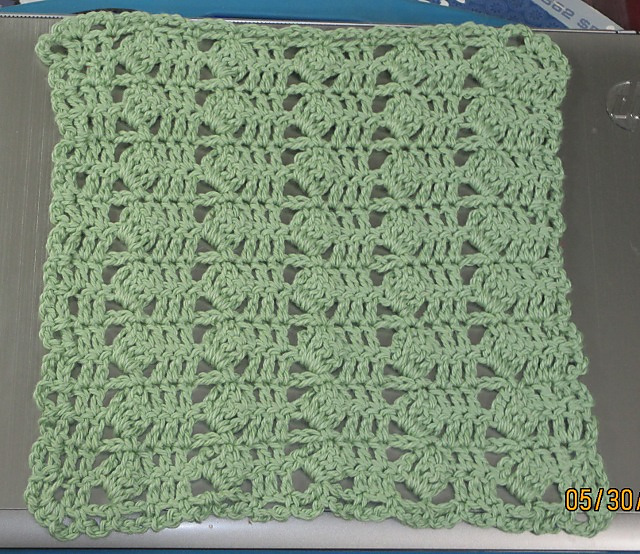 Wash & Wipe Dishcloth # 6
