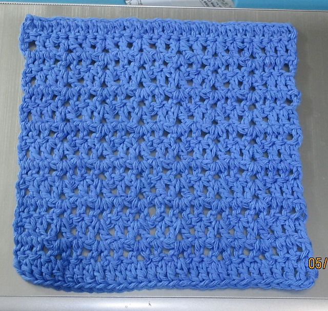 Wash & Wipe Dishcloth # 8